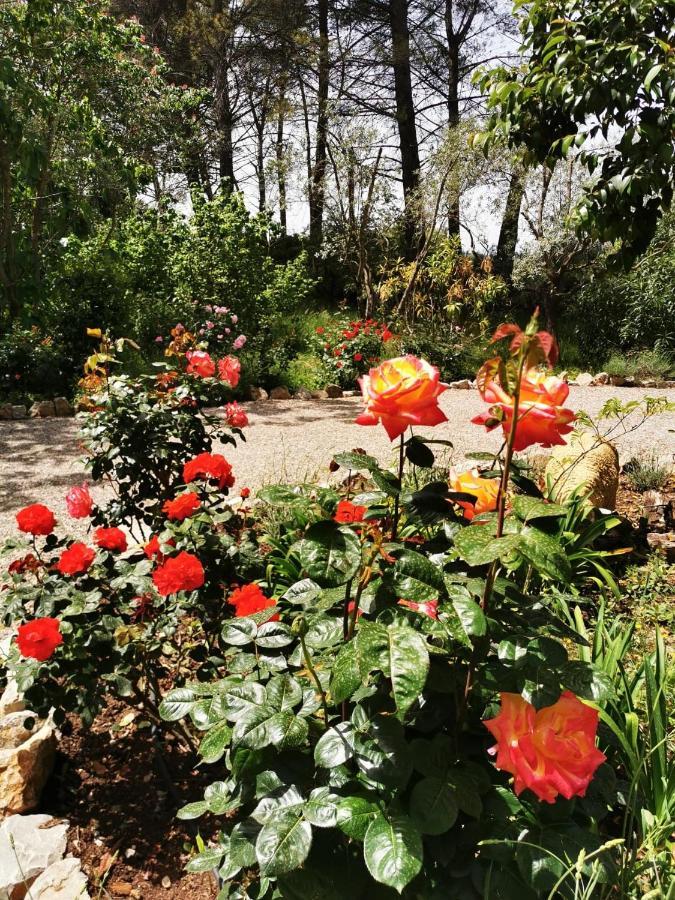 La Maison Du Soleil Provence Draguignan Luaran gambar